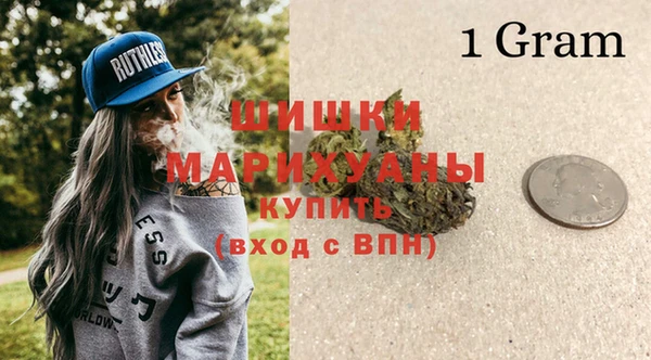 амф Гусь-Хрустальный