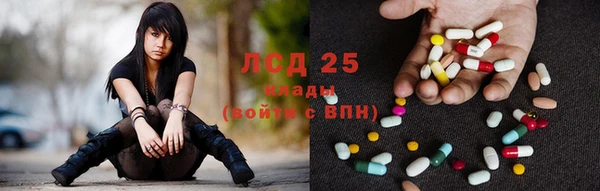 ПСИЛОЦИБИНОВЫЕ ГРИБЫ Дмитров