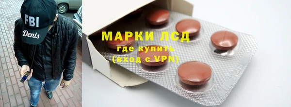 амф Гусь-Хрустальный