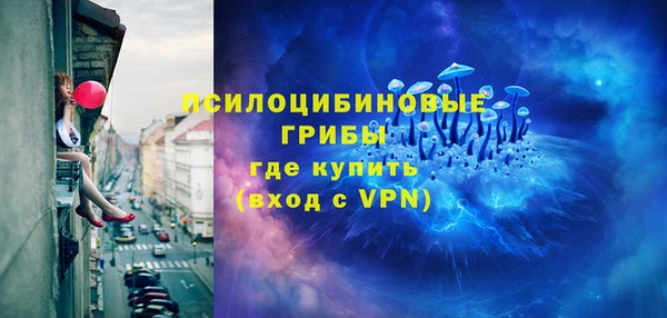 а пвп мука Дмитриев
