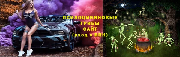 дживик Гусев
