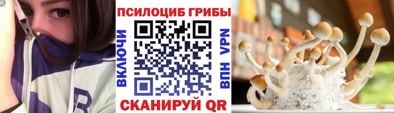 закладки  Мензелинск  Псилоцибиновые грибы мухоморы 